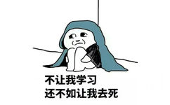 不让我学习还不如让我去死