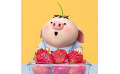 猪猪吃草莓 - 猪年当然要用猪猪头像