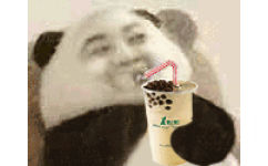 熊猫头喝一点点奶茶
