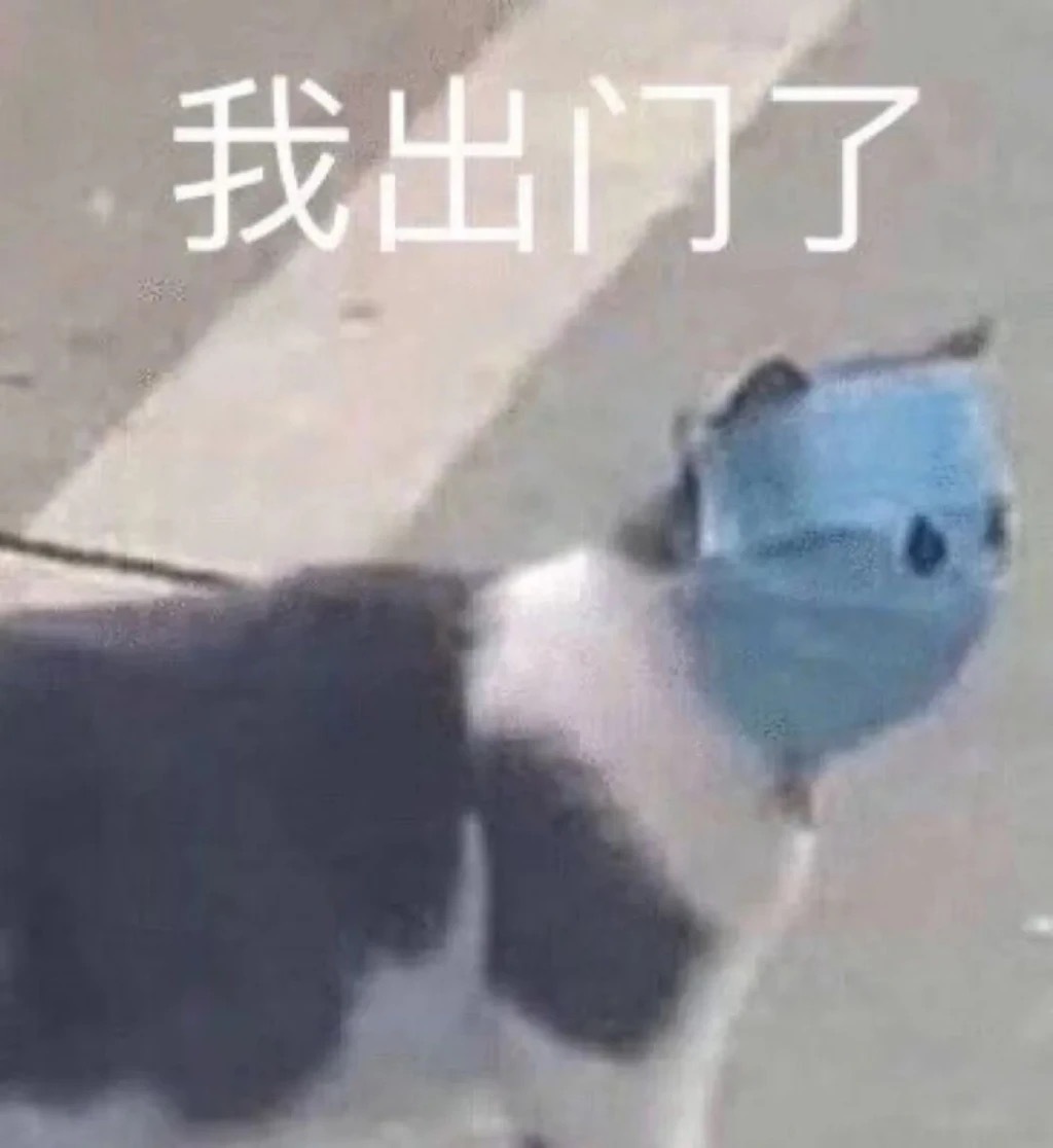 我出门了 猫咪表情包