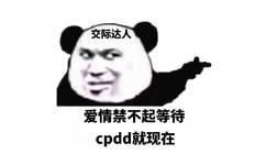 交际达人  爱情禁不起等待 cpdd 就现在