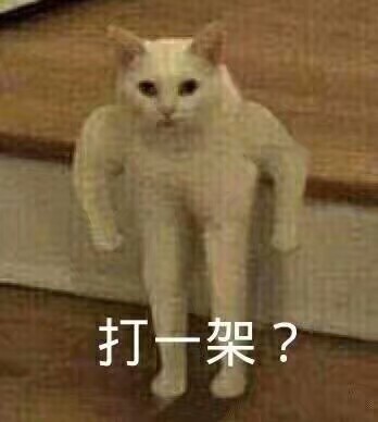 打一架?(猫咪)