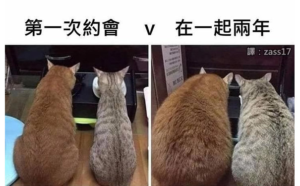 第一次约会 VS 在一起两年（橘猫表情包）