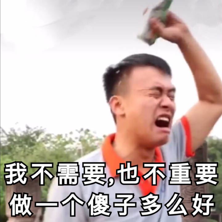 我不需要，也不重要，做一个傻子多么好