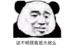 这不明摆着是大佬么(熊猫头)