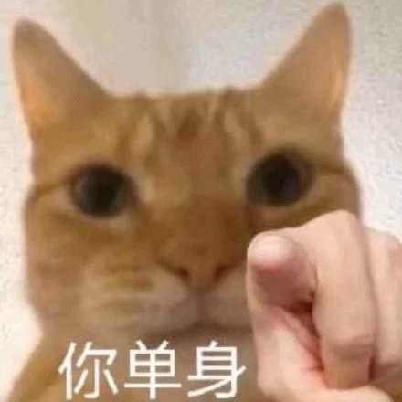 你单身(猫猫指人表情包)