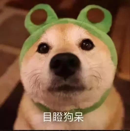 目瞪狗呆