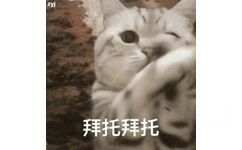 拜托拜托（猫咪 GIF 动图）