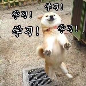 学习！学习！学习！ - 做个爱学习的 doge