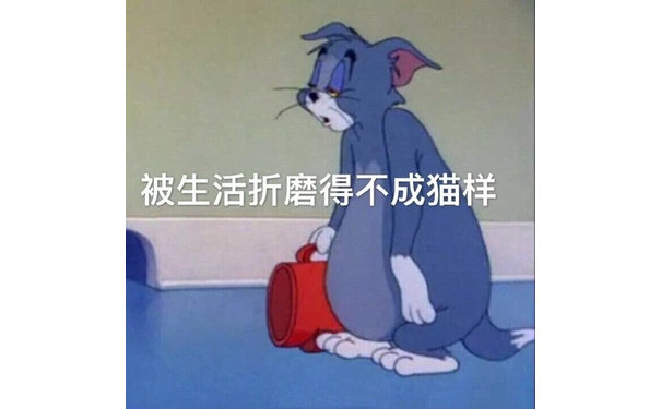 被生活折磨得不成猫样（汤姆猫表情包）