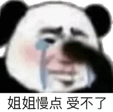 姐姐慢点受不了(流泪熊猫头)