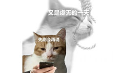 又是虚无的一天先刷会再说 - 双面猫表情包 ​