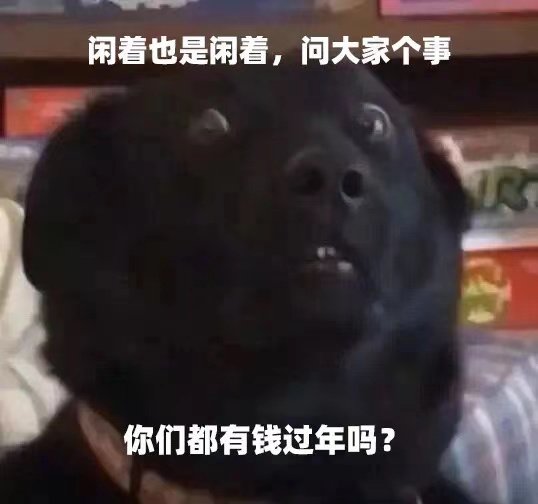 闲着也是闲着,问大家个事你们都有钱过年吗?