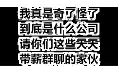 我真是奇了怪了到底是什么公司请你们这些天天带薪群聊的家伙