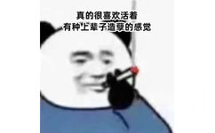 真的很喜欢活着有种上辈子造孽的感觉