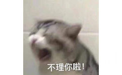 不理你啦!(猫猫生气表情包)