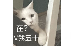 在?V我五十 - 全是猫咪表情包