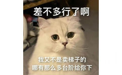 差不多行了啊我又不是卖梯子的哪有那么多台阶给你下