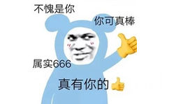 不愧是你你可真棒属实666真有你的