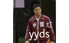 中国红yyds - 东京奥运会表情包