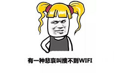 有一种悲哀叫搜不到WIFI - 神扯