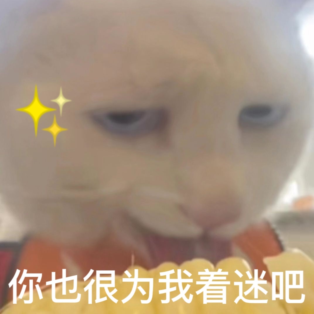 你也很为我着迷吧 - 奇怪的猫猫表情包增加了