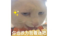 你也很为我着迷吧 - 奇怪的猫猫表情包增加了