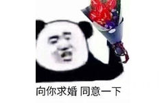 向你求婚同意一下