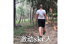 激动skr人(睾哥 GIAO 哥)