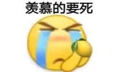 羡慕的要死