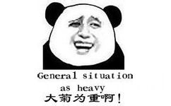 大菊为重啊！（general situation as heavy） - 我从来不骂人，但是被我骂的都不是人（熊猫人装逼表情）