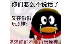 你们怎么不说话了又在偷偷玩原神？求求你们不要再玩原神