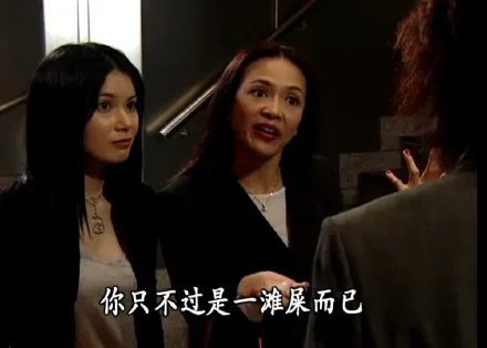 你只不过是一滩屎而已 - 《男亲女爱》表情包