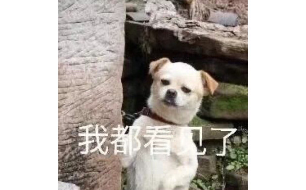 我都看见了