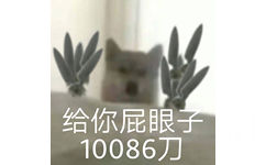 给你屁眼子10086刀 - 狗狗表情包 | 给你p眼子来一刀