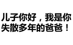 儿子你好，我是你失散多年的爸爸！ - 儿子你好，我是你失散多年的爸爸！（文字表情）