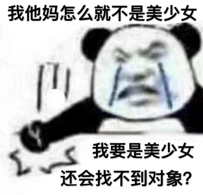 我他妈怎么就不是美少女我要是美少女还会找不到对象?(熊猫头表情包)