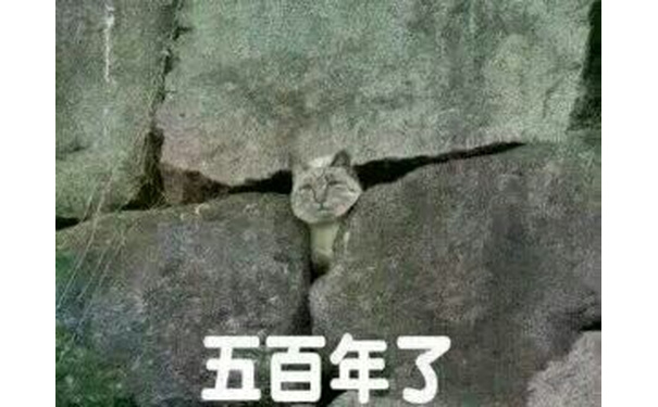 五百年了（猫咪）