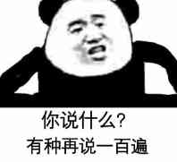 你说什么？有种再说一百遍