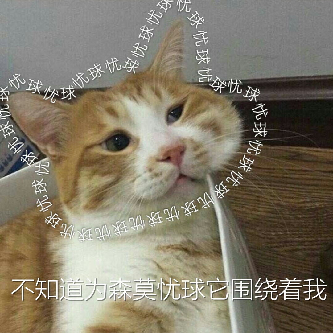 不知道为森莫忧球它围绕着我（猫咪 忧愁）