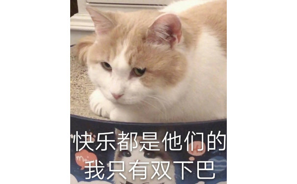 快乐都是他们的我只有双下巴(猫咪表情包)