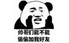 帅哥们能不能偷偷加我好友（熊猫头悄悄话）