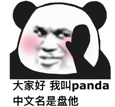 大家好我叫 panda中文名是盘他(熊猫头)