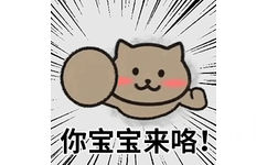 你宝宝来咯∥/ㄧ(猫猫头表情包)