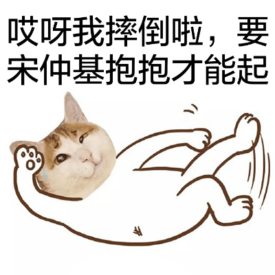 哎呀我摔倒啦，要宋促基抱抱才能起 - 猫头宋仲基表情