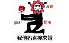 屌丝没钱 肥宅 我他妈直接求婚 - 最近很流行的鬼火表情包