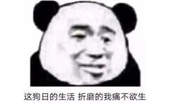 这狗日得生活，折磨的我痛不欲生