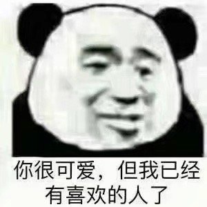 你很可爱，但我已经很喜欢的人了（熊猫头表情包）