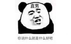 直男你说什么就是什么好吧