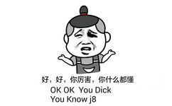 好，好，你厉害，你什么都懂（OK OK you dick you know j8） - 据探肛针数据来分析，你是得了急性脑逗比症啊！